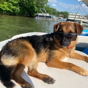 Meet your Posher, Jillian